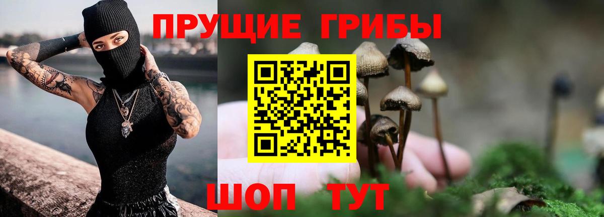 Галлюциногенные грибы MAGIC MUSHROOMS  Вход с VPN  Улан-Удэ 